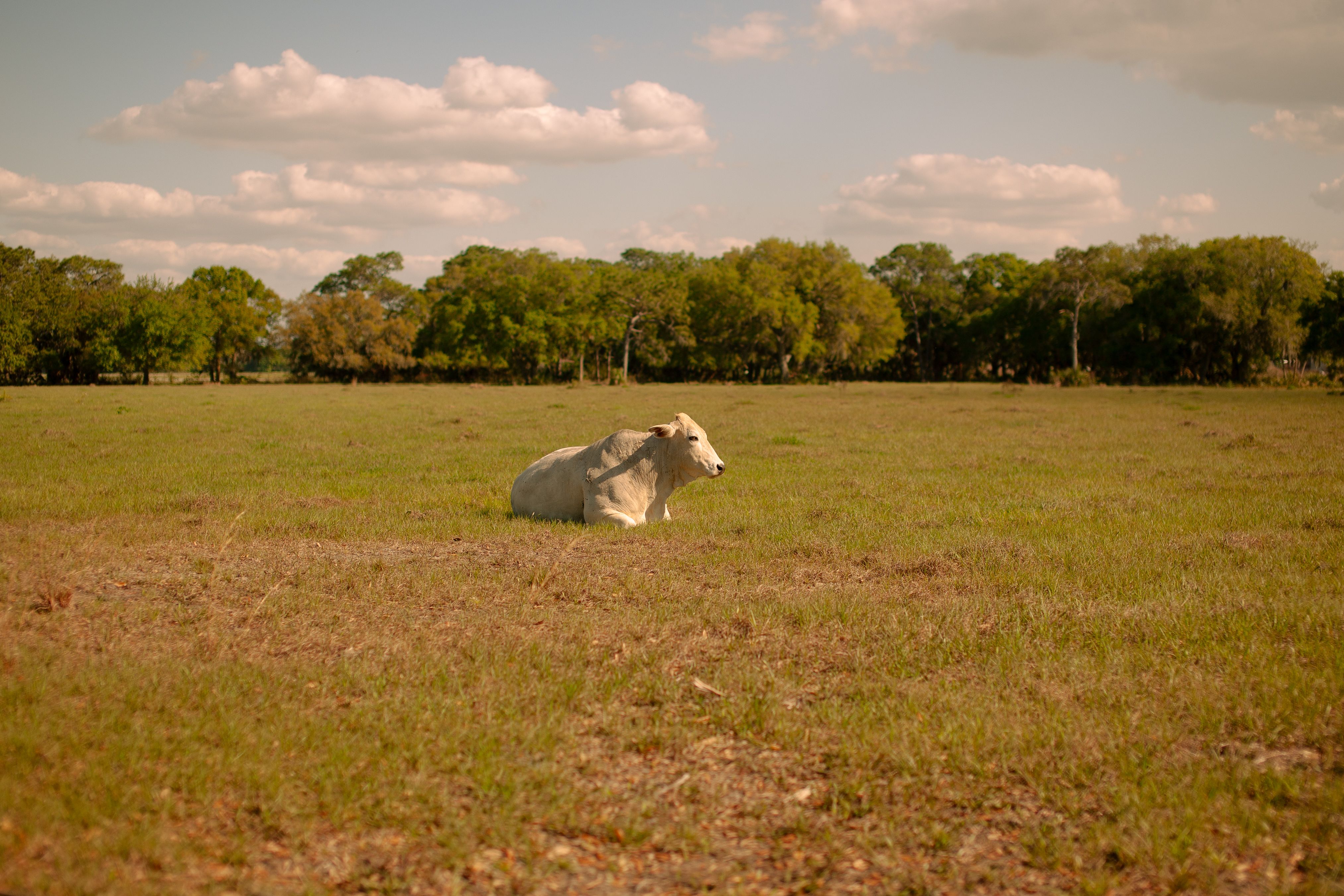 Parrish, FL