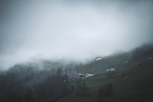 A foggy landscape with a small house and trees