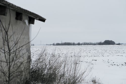 Základová fotografie zdarma na téma dálkový, krajina, mráz