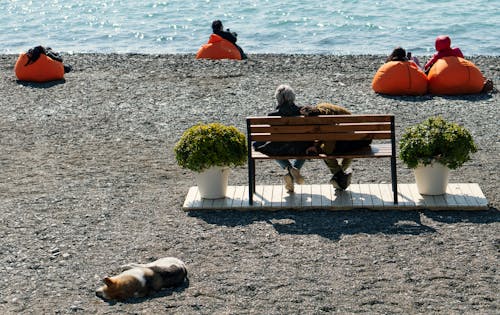 Immagine gratuita di acqua, bagnasciuga, coppia