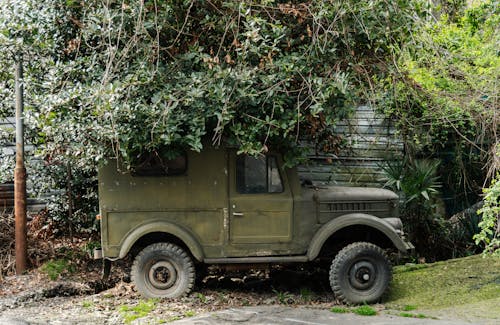 Photos gratuites de arbre, armée, bois