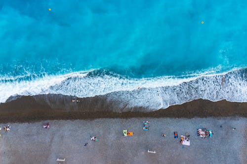 Immagine gratuita di acqua, arbusti, estate