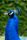 indian blue