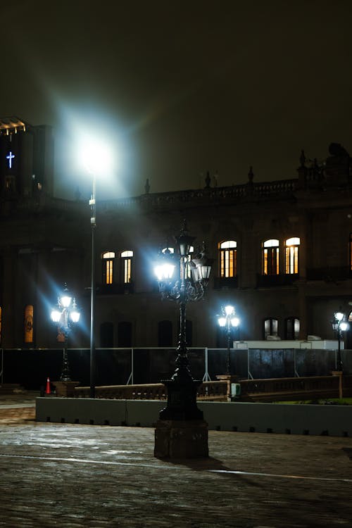 A street lamp is lit up at night