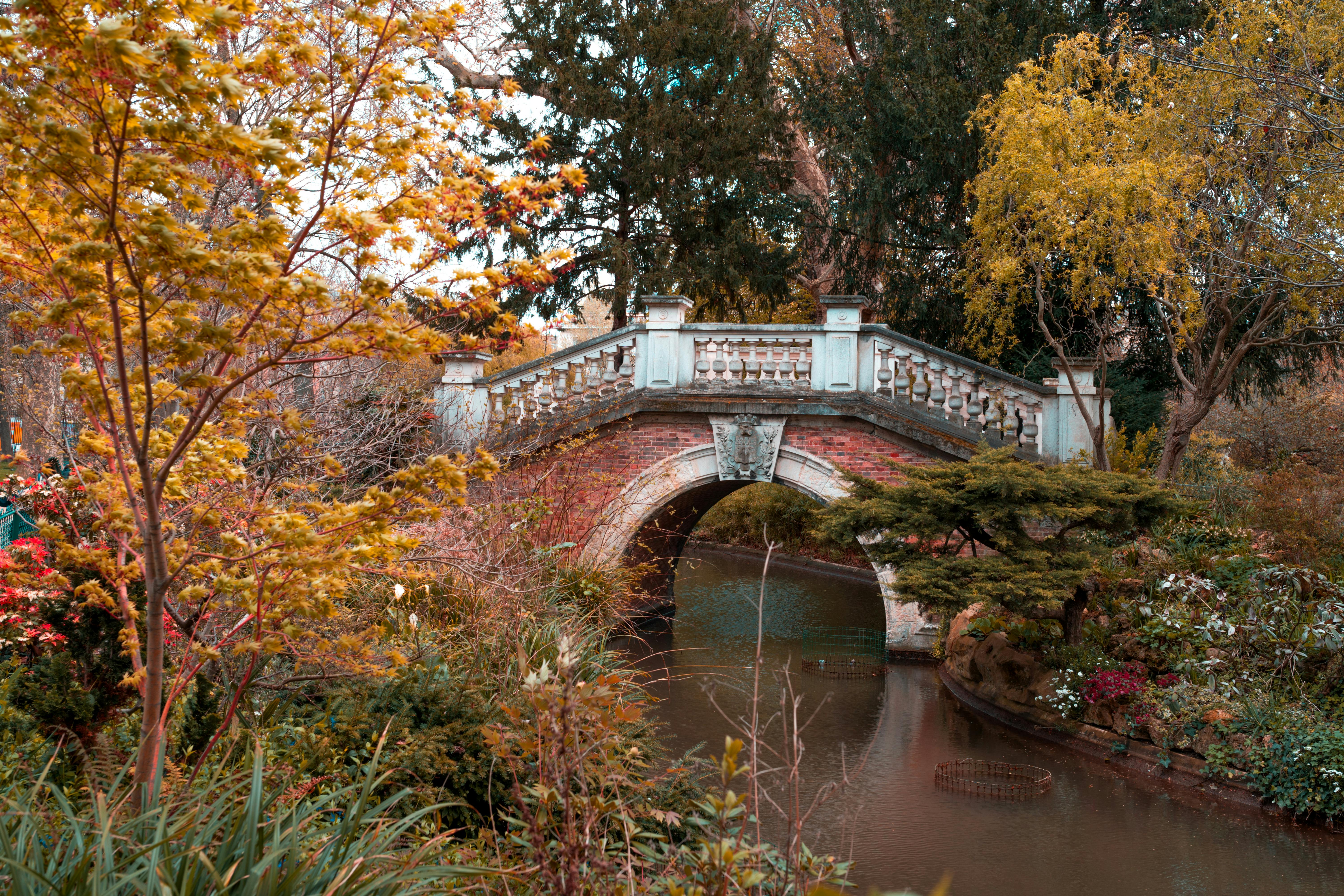 A bridge over a stream in the fall