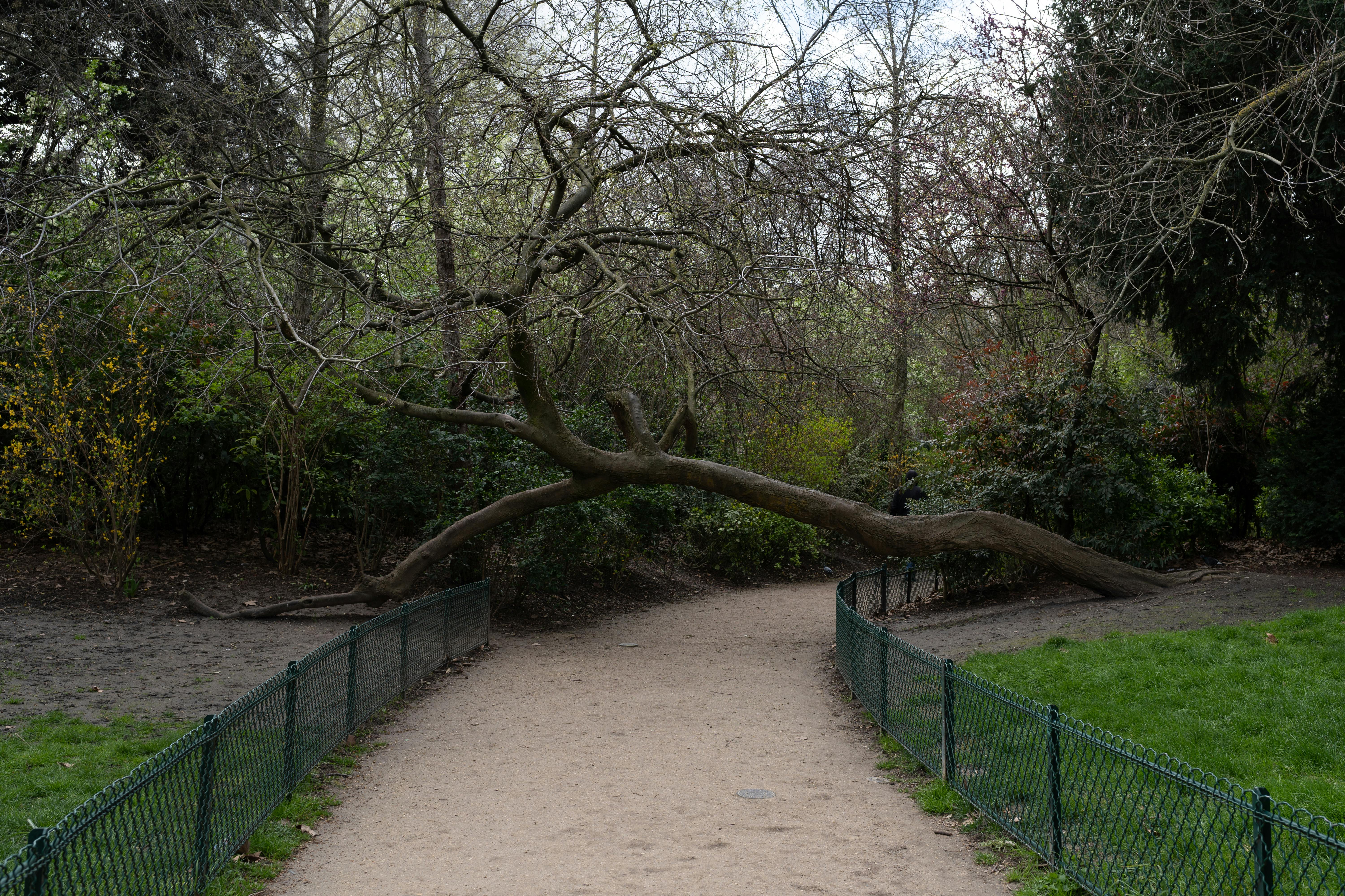 Arboretum Poort-Bulten
