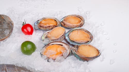 Fresh oysters on ice with tomatoes and lime