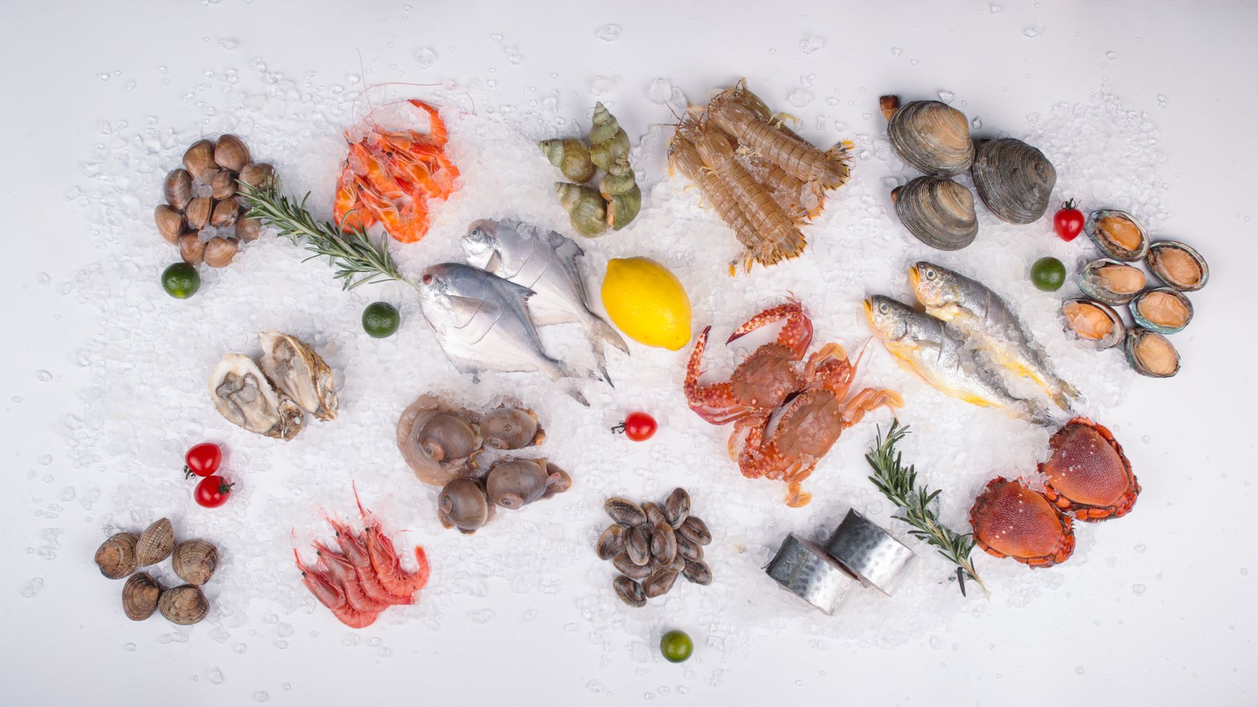 Overhead spread of fresh crab, shrimp, fish, oysters and clams on crushed ice