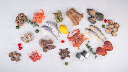 A variety of seafood on a white background
