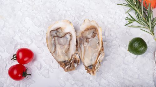 Free Close-up of fresh oysters, cherry tomatoes, and lime on ice, perfect for seafood lovers. Stock Photo