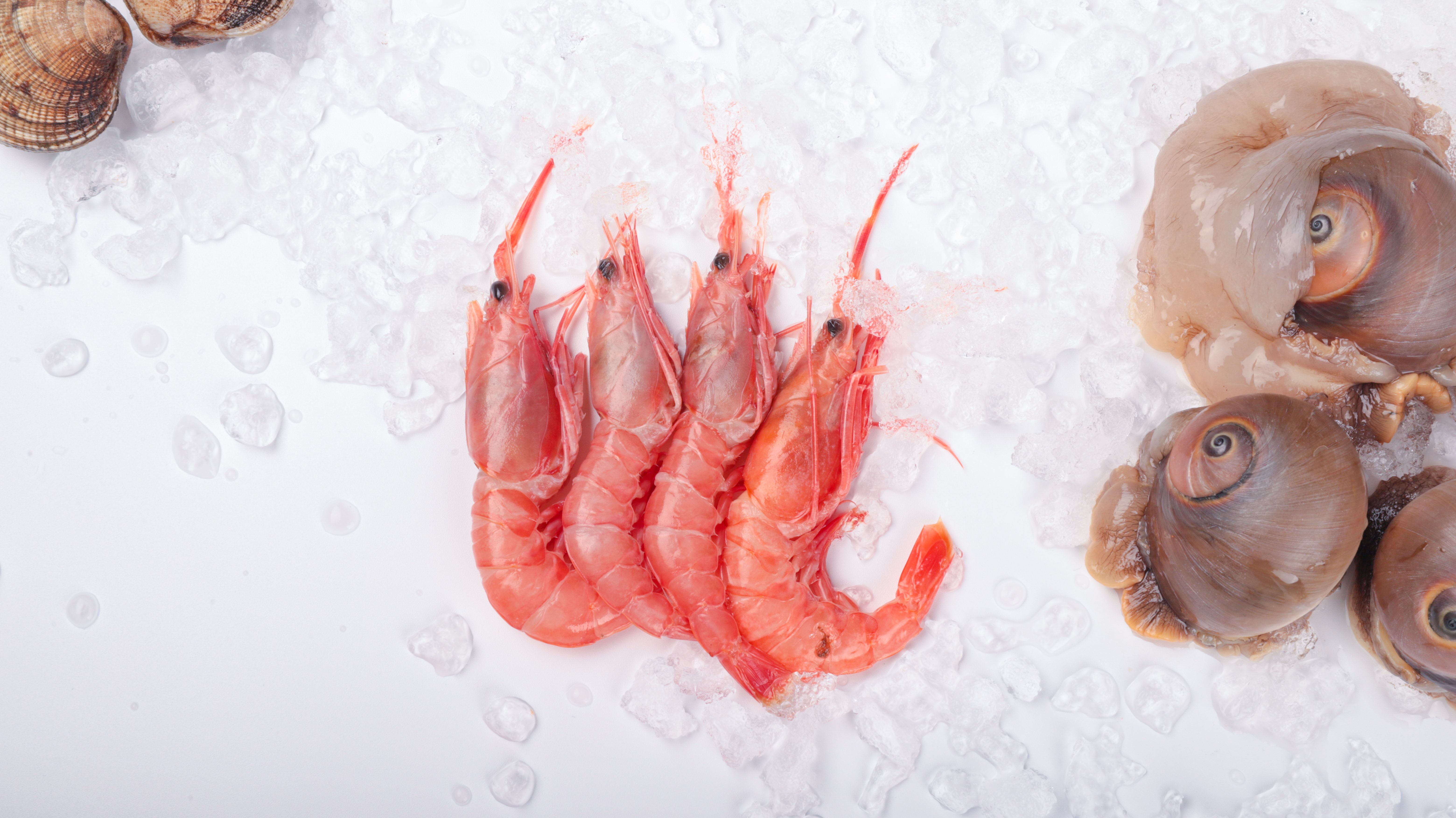 View of Frozen Food And Fish Photos, Download The BEST Free Frozen Food And ...