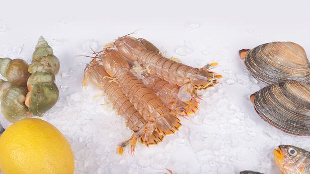 Chilled seafood assortment with mantis shrimps, clams, and lemon on ice.