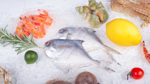 balık, bereket, Beyaz arka plan içeren Ücretsiz stok fotoğraf