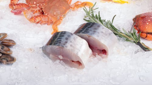 Ingyenes stockfotó élelmiszer-fotózás, fehér háttér, hal témában