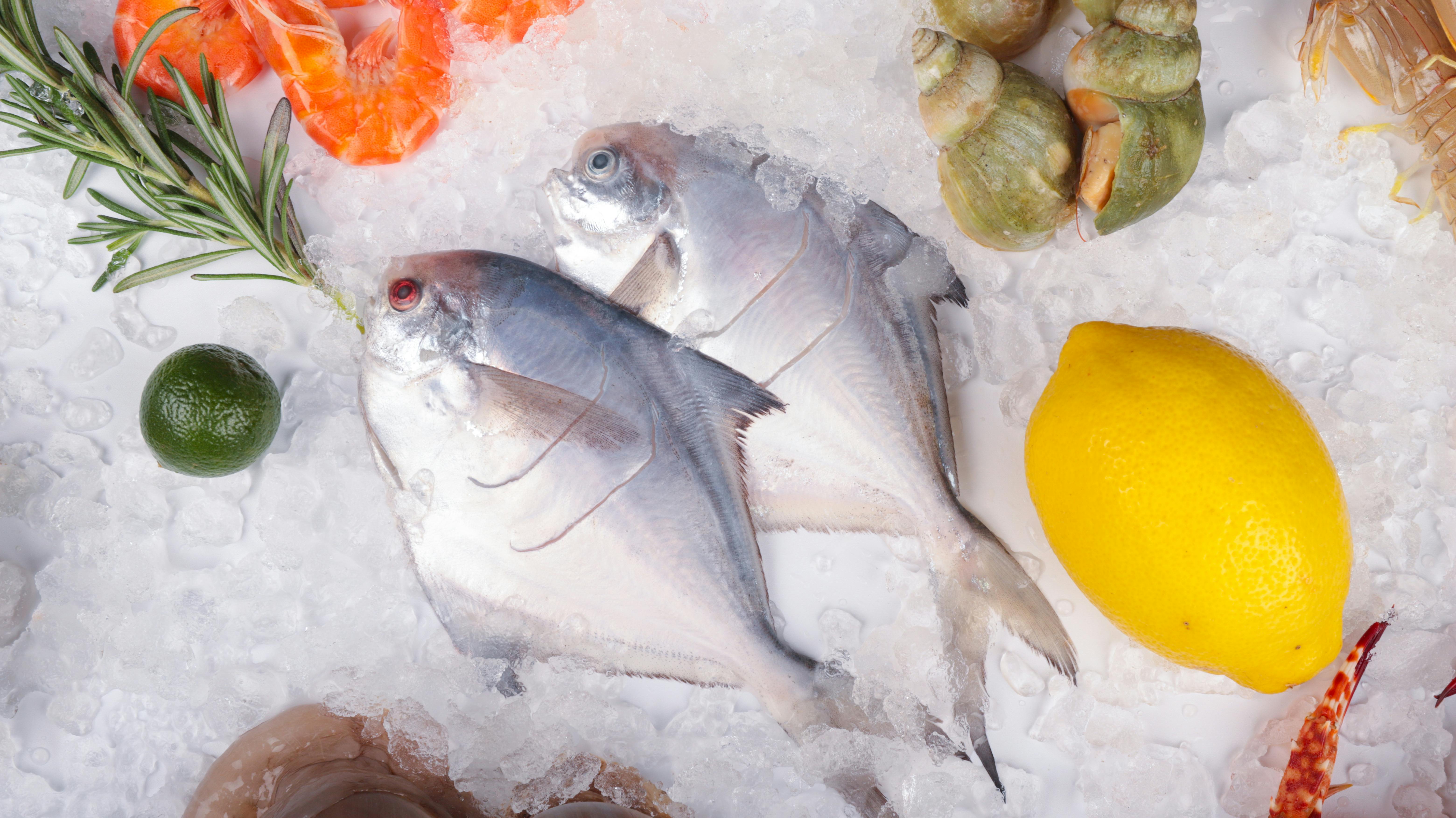 Fresh seafood and fish on ice with lemon in a bright market-style omega-3 source scene