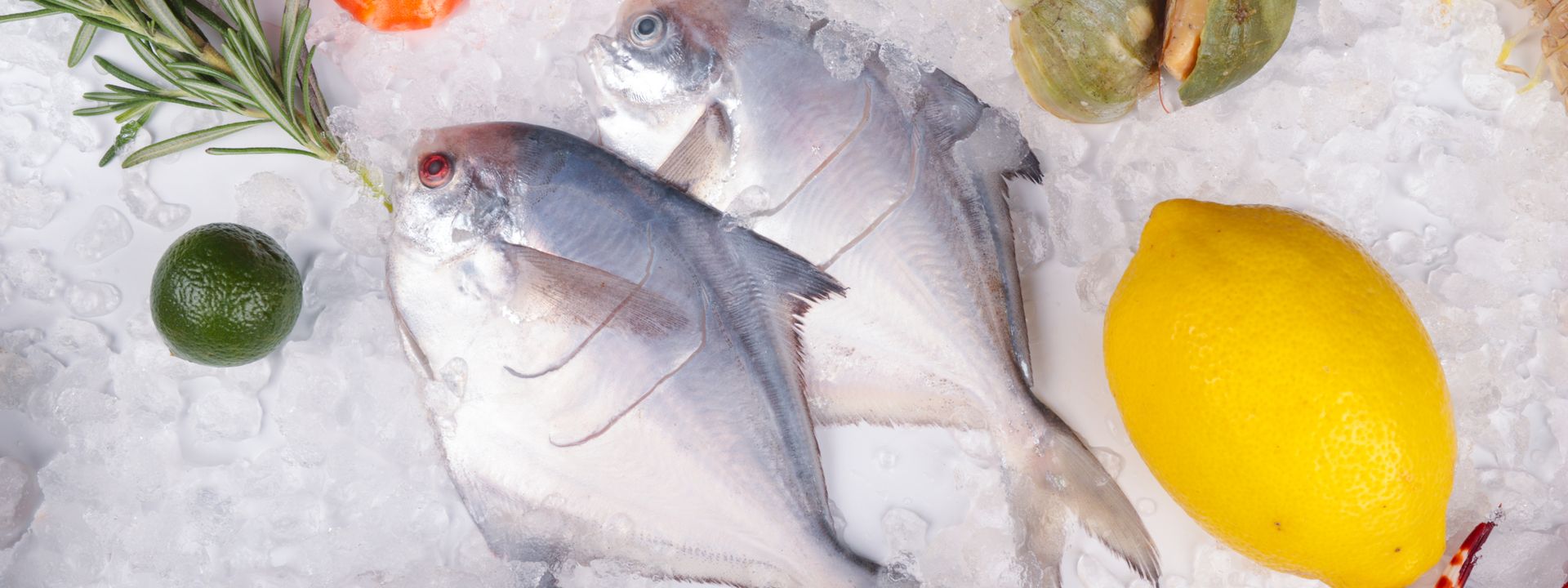 Fresh seafood and fish on ice with lemon in a bright market-style omega-3 source scene