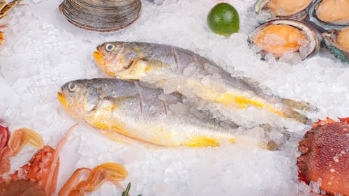 Fresh fish and seafood on ice with various seafood