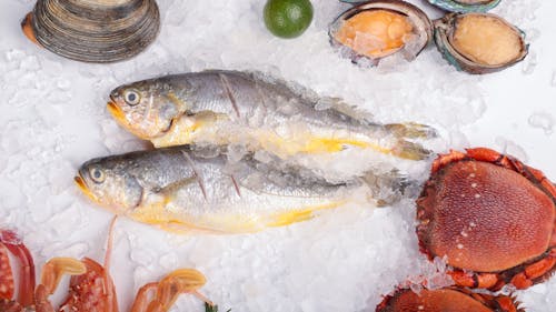 Fresh seafood on ice with crab, lobster and other seafood