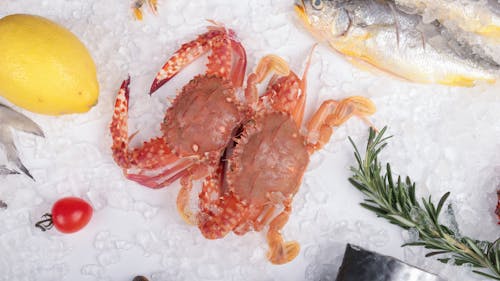 Fresh seafood on ice with lemon, garlic and other ingredients
