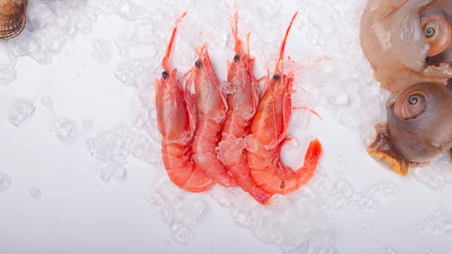 Fresh shrimp on ice with shells and shells