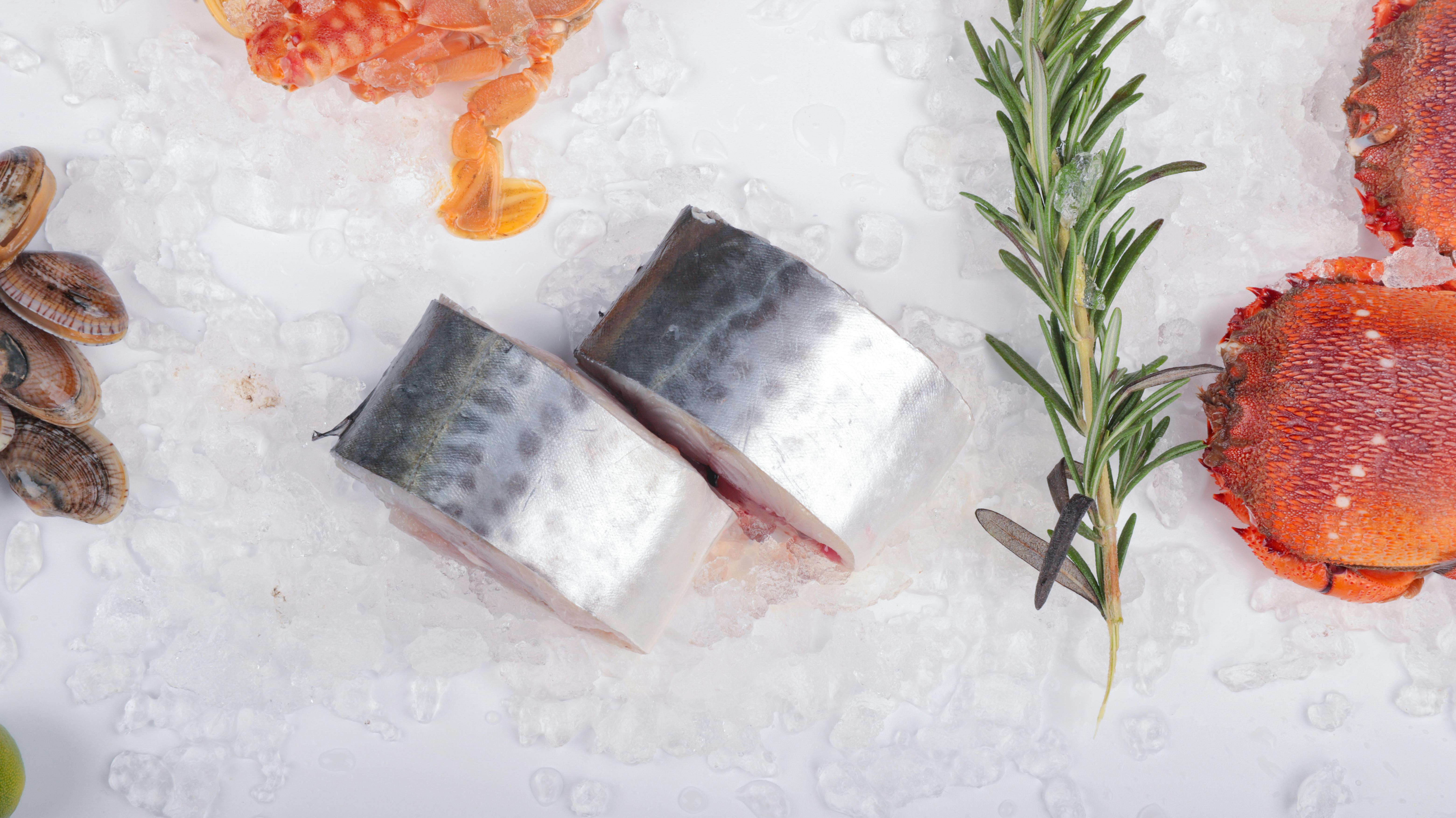 protéine de champignon