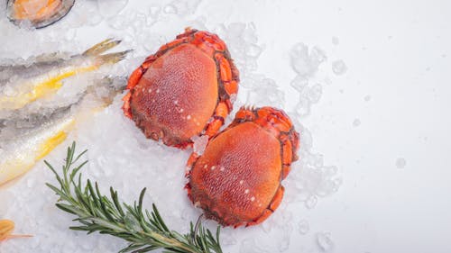 Fresh seafood on ice with rosemary and lemon