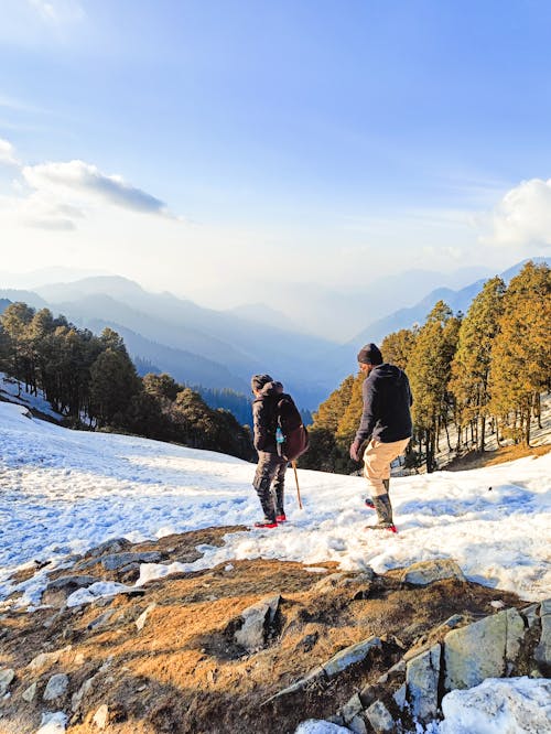 Free stock photo of forest adventure, golden hour, snow background