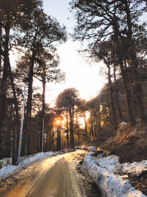 Free A picturesque winter road winding through a snow-covered forest at sunrise, capturing nature's serene beauty. Stock Photo