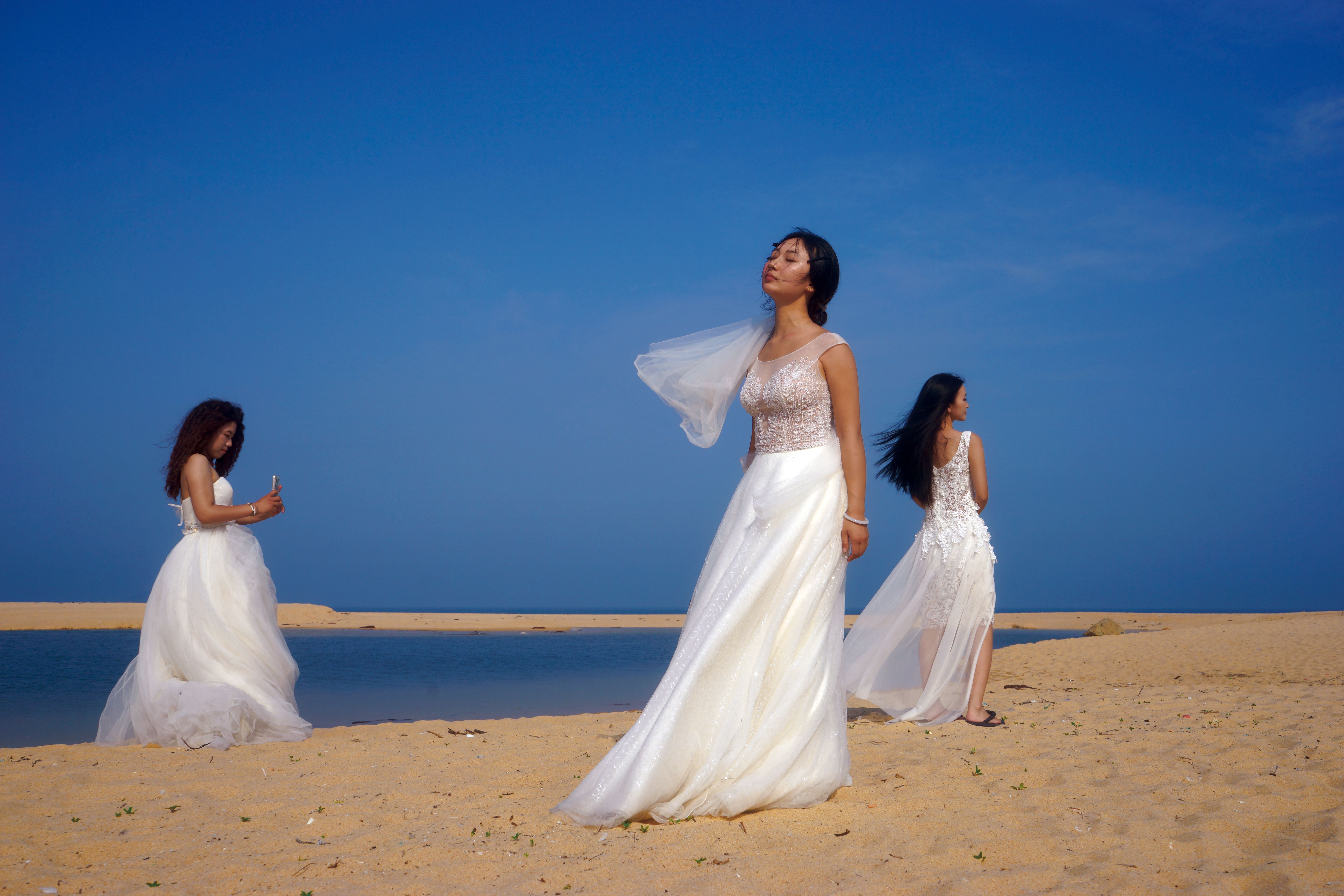 A Group of Women in Wedding Dresses Standing on a Beach · Free Stock Photo