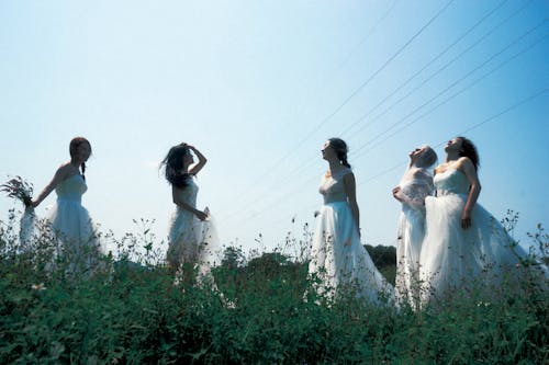 Women in White Dresses on Meadow
