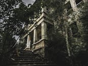 发现一座废弃建筑被大自然包围的怪异之美