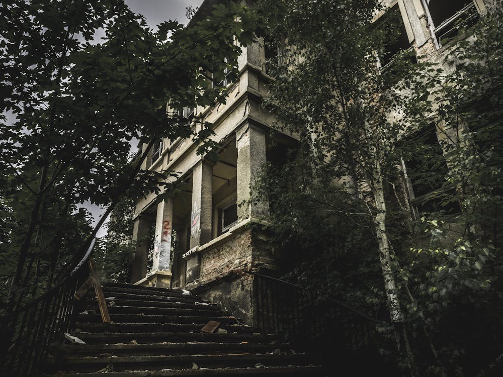 бесплатная Черная бетонная лестница у деревьев Стоковое фото