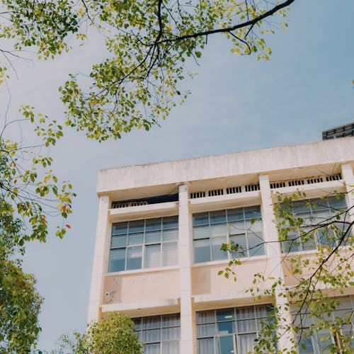 Fotos de stock gratuitas de al aire libre, apartamento, árbol