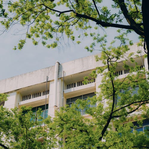 Gratis stockfoto met blauwe lucht, bomen, buitenkant van het gebouw