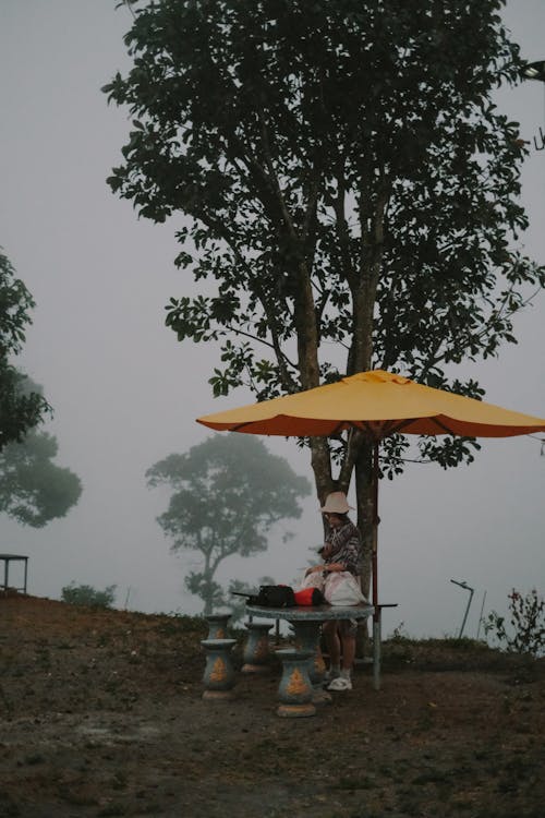 A person sitting under an umbrella on a hillside