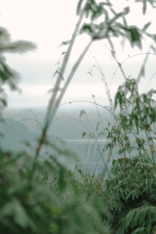 A view of the mountains from the top of a hill