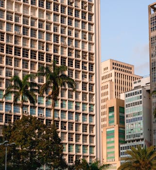 傍晚阳光下，现代城市景观中高楼林立，棕榈树郁郁葱葱