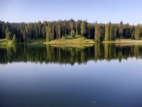 Ingyenes stockfotó 4k-háttérkép, 8 k tapéta, 80-as évek tapéta témában