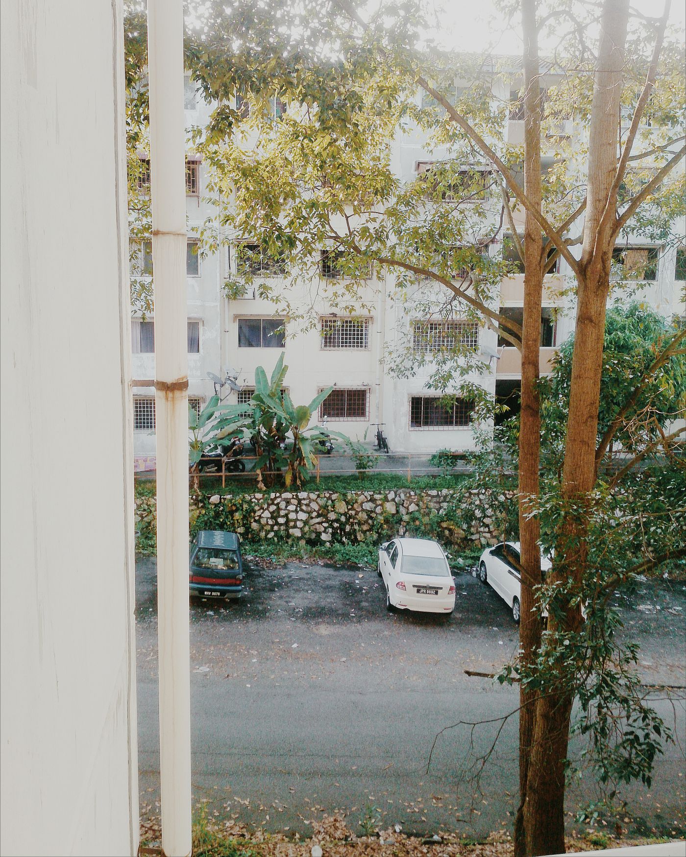 Parked cars outside a modern apartment building