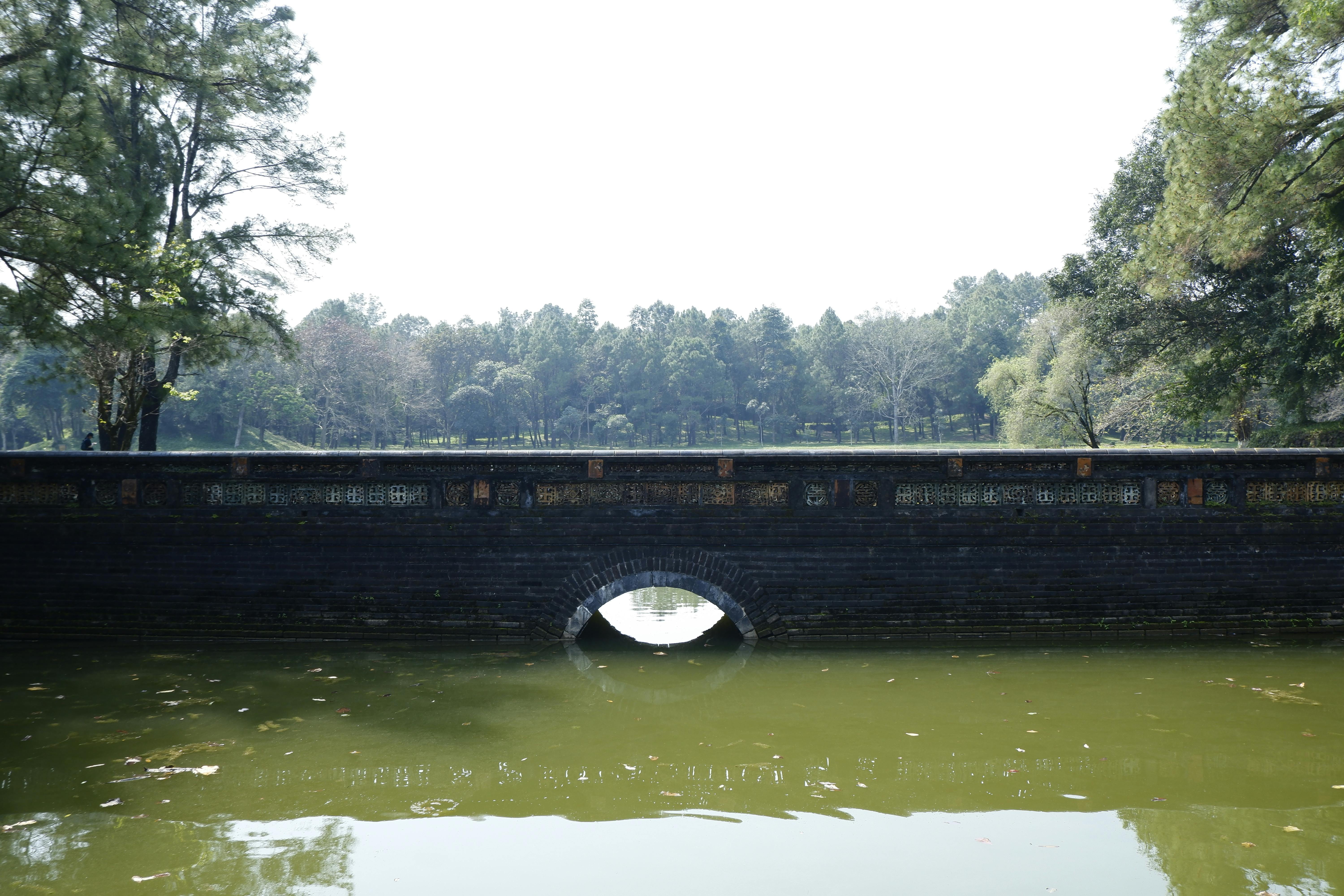 A bridge over a pond with a green tree