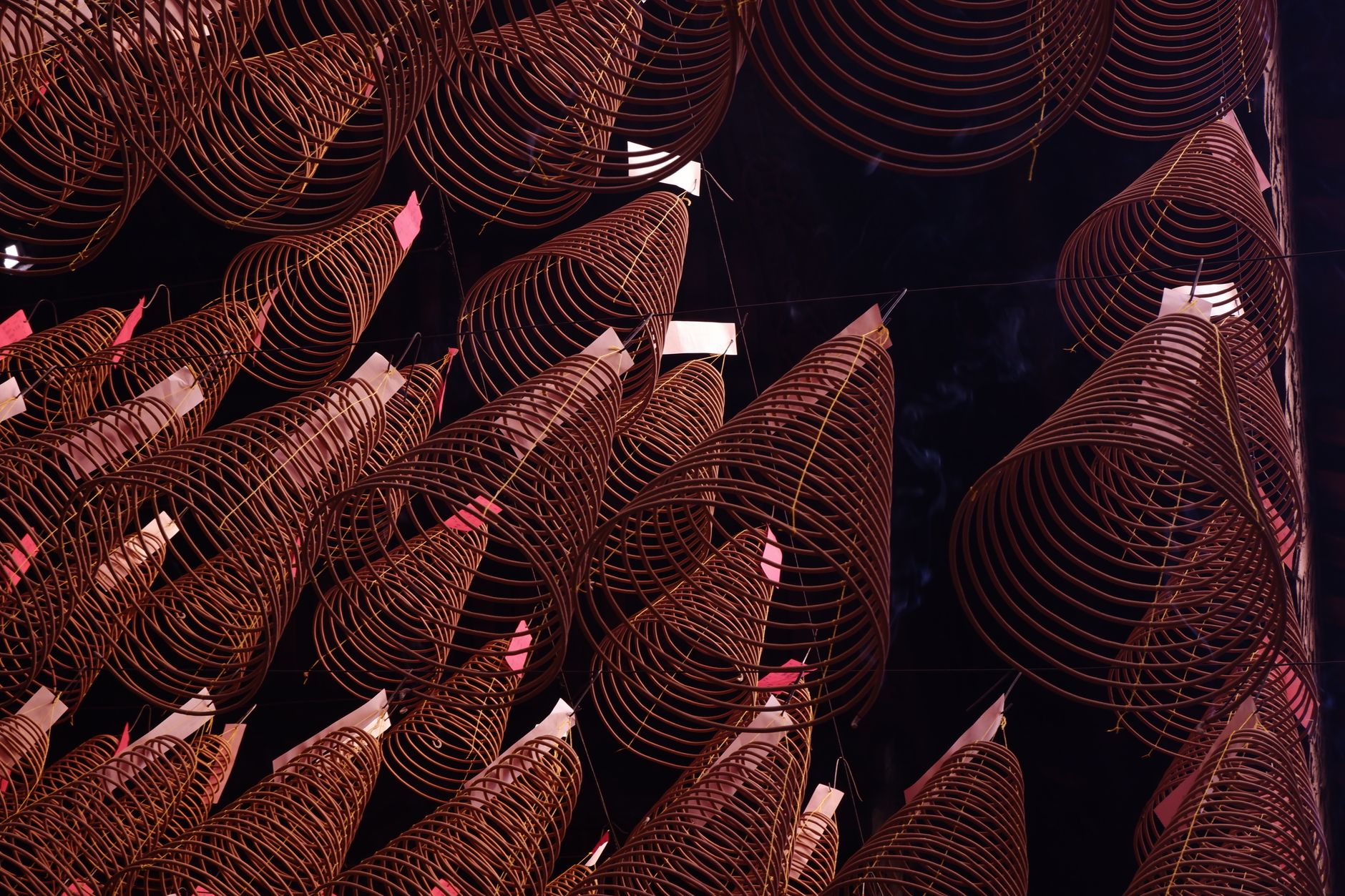 Conical incense coils hanging in a temple creating an artistic display of spirituality.