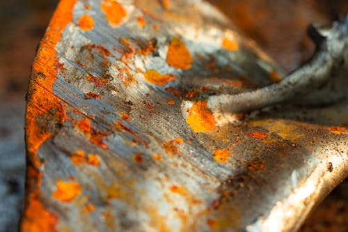 Piece of metal slowly rusting in orange patches 