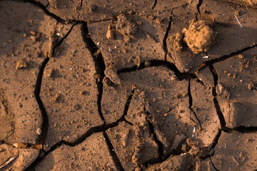 Dry cracked mud