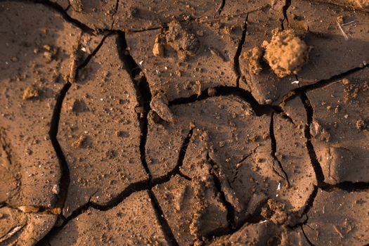 Dry cracked mud