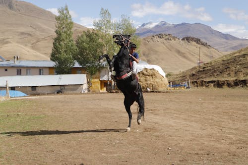 Kyrgyz boy riding a horse