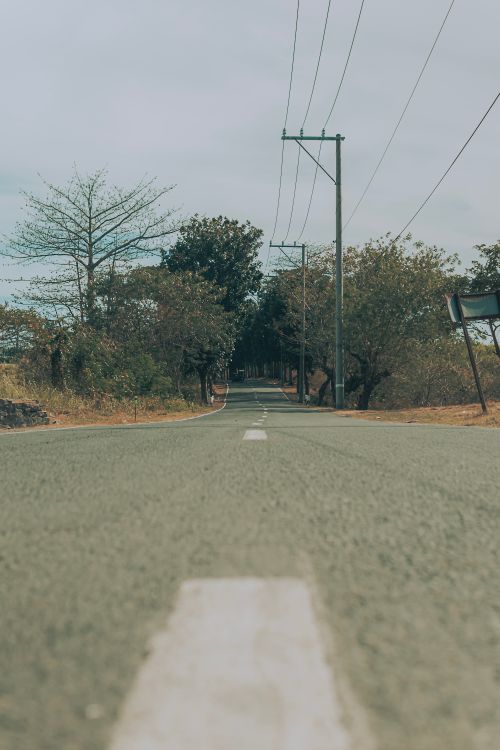 Free Quiet rural road lined with trees and utility poles on a peaceful day. Stock Photo