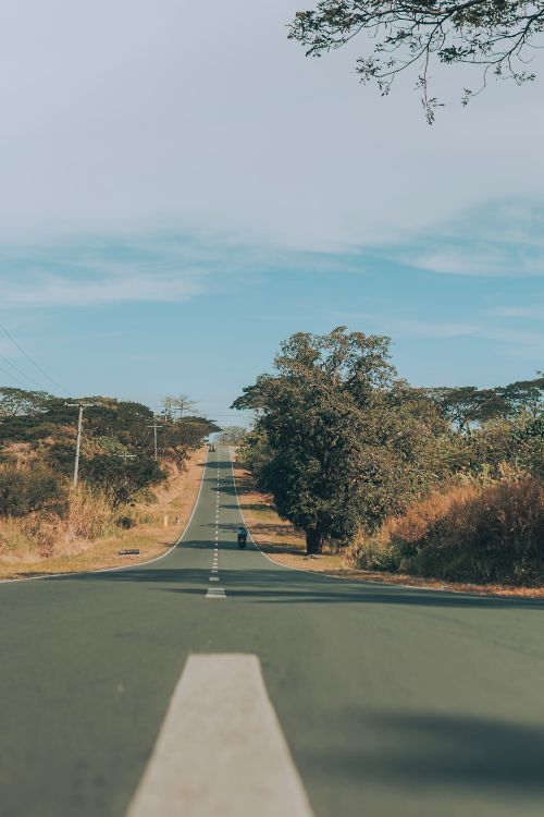 Free A peaceful rural road stretches into the horizon, bordered by trees and greenery under a clear blue sky. Stock Photo