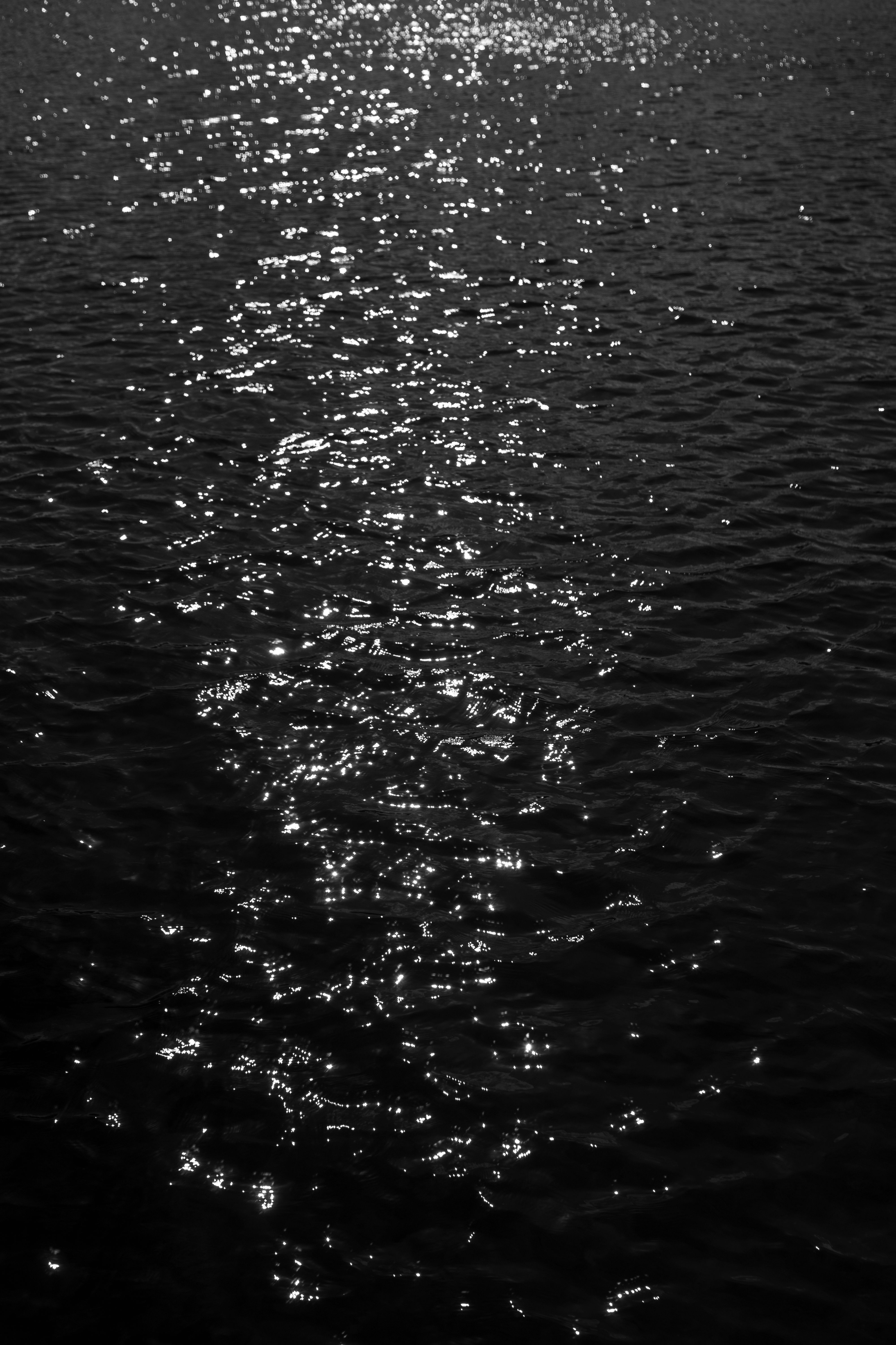 Black and White Photo of Water Surface Reflecting the Sunlight · Free ...