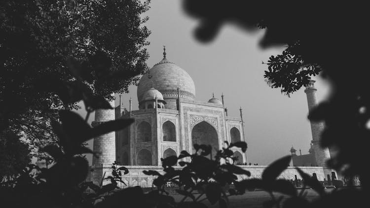 Taj Mahal Mausoleum Through Branches