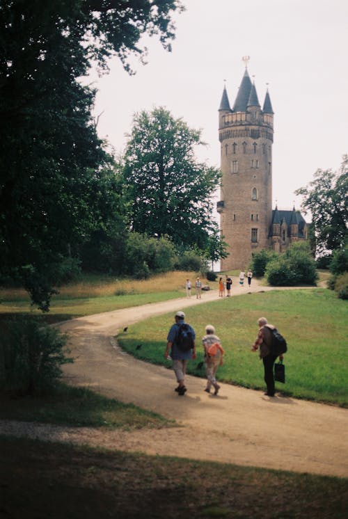 Immagine gratuita di alberi, camminando, città